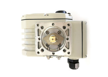 Swinging Arm IP67 Waterproof DCL Compact Actuator