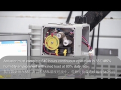 डीसीएल इलेक्ट्रिक एक्ट्यूएटर टाइप टेस्ट