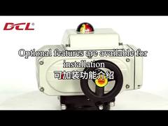 वैकल्पिक कार्य